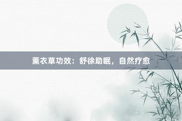薰衣草功效：舒徐助眠，自然疗愈