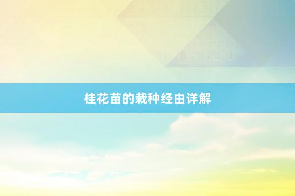 桂花苗的栽种经由详解