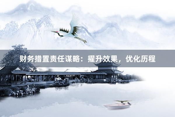 财务措置责任谋略：擢升效果，优化历程